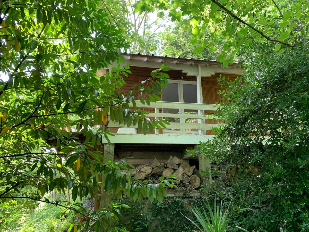 Chalet En Bord De Seine Vila Le Coudray-Montceaux Exterior foto