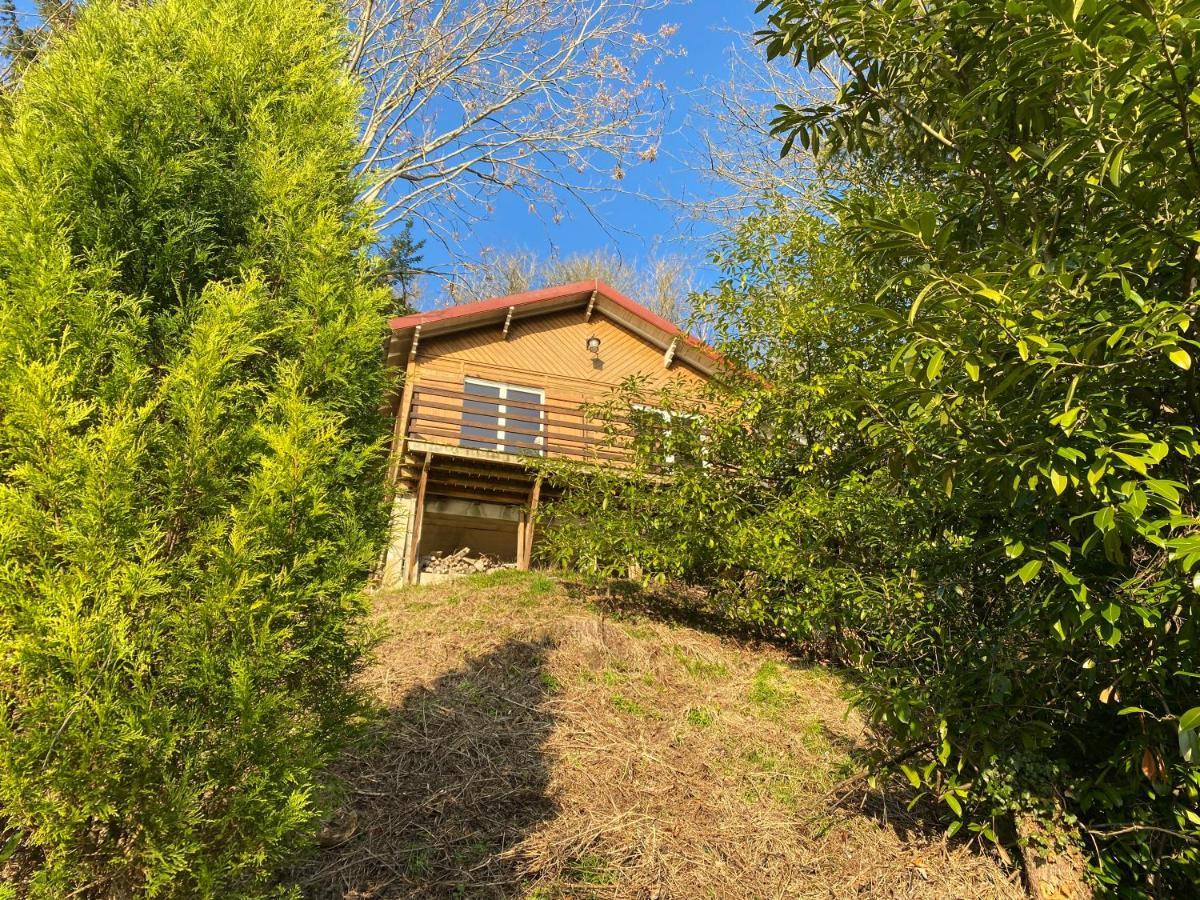 Chalet En Bord De Seine Vila Le Coudray-Montceaux Exterior foto
